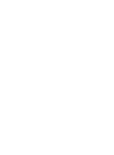 Reset Movement Studio